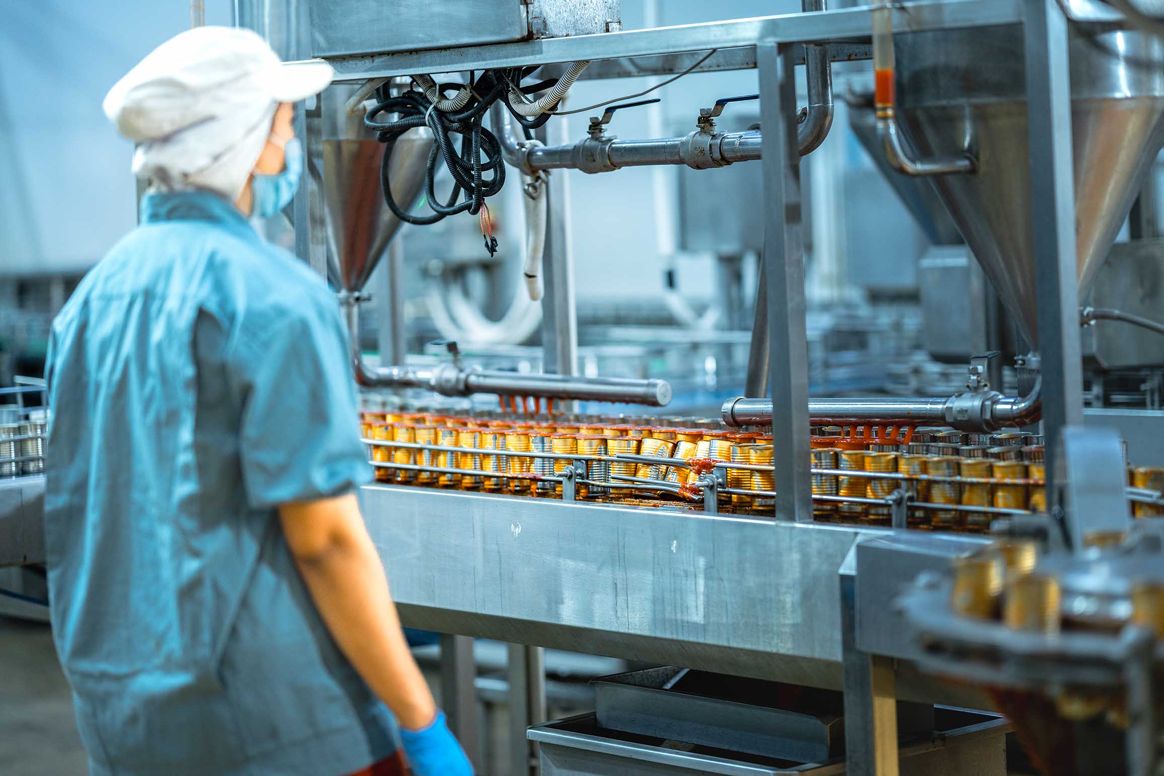 Inspector checking automated machinery in food production facility Focus on quality control safety and workflow efficiency. Worker overseeing food packaging machinery in a modern manufacturing plant.